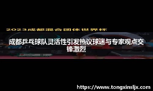 成都乒乓球队灵活性引发热议球迷与专家观点交锋激烈