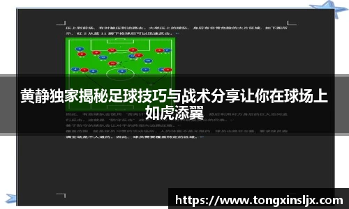 黄静独家揭秘足球技巧与战术分享让你在球场上如虎添翼