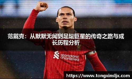 范戴克：从默默无闻到足坛巨星的传奇之路与成长历程分析