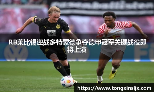 RB莱比锡迎战多特蒙德争夺德甲冠军关键战役即将上演