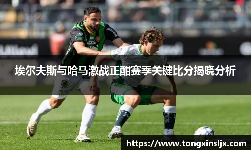 埃尔夫斯与哈马激战正酣赛季关键比分揭晓分析