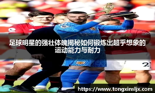 足球明星的强壮体魄揭秘如何锻炼出超乎想象的运动能力与耐力