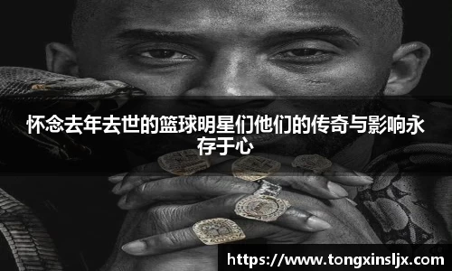 ng28南宫