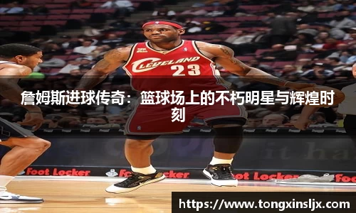 ng28南宫